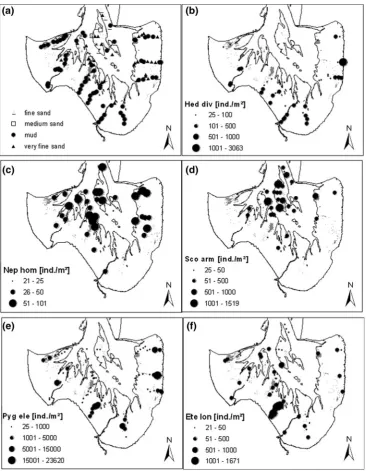 Fig. 2 Distribution patterns ofgrain size composition anddominant polychaete species(mean ind./m2) in the Jade Bay.a sediment composition,b Hediste diversicolor,c Nephtys hombergii,d Scoloplos armiger, e Pygospioelegans, f Eteone longa