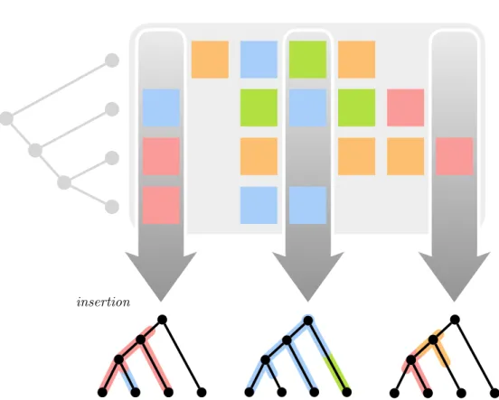 Figure 4: Multiple sequence alignment and corresponding homology paths. A mul- mul-tiple sequence alignment is a mapping from a set of sequences to a strings vector.