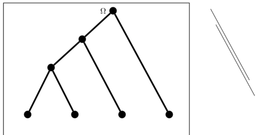 Figure 2.1: Phylogenetic tree τ that relates the four sequences at the leaves. The tree is rooted at Ω, the most recent common ancestor of all the sequences at the tips.