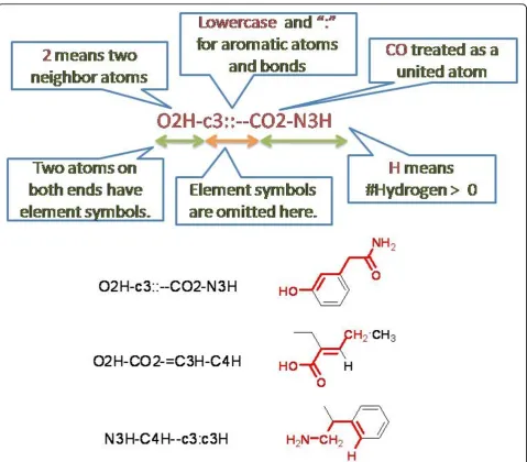 Figure 1 Explanation of a linear fragment and sample fragments. A sample fragment and its notations are described in the upper part ofthe figure