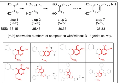 Figure 5 An example of the structural refinement process and a part of the associated SSC