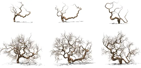 Fig. 9.Top row: three tree skeletons; lower row: trees with more branches.