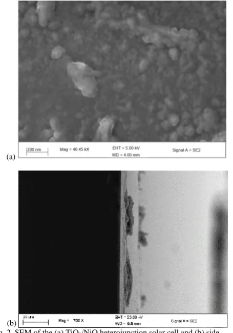 Fig. 2. SEM of the (a) TiO(b) 2/NiO heterojunction solar cell and (b) side  view of the TiO/NiO heterojunction solar cell 