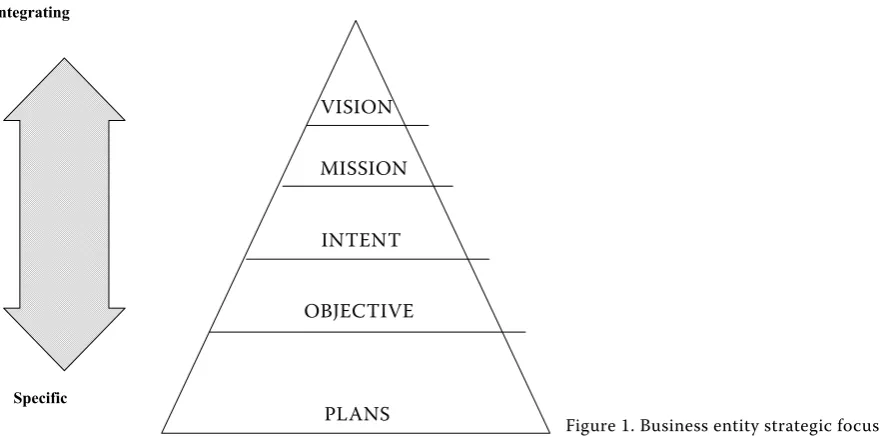 Figure 1. Business entity strategic focus