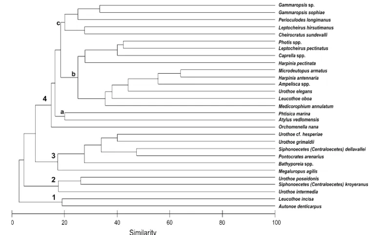 Fig. 6 Cluster diagram of 