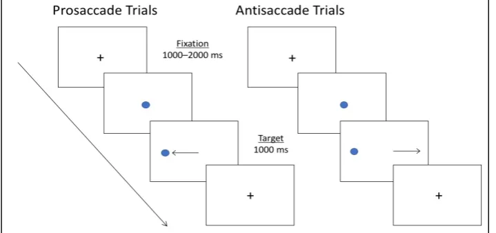 Figure 1. Example of prosaccade and antisaccade conditions on a typical antisaccade eye-tracking task 