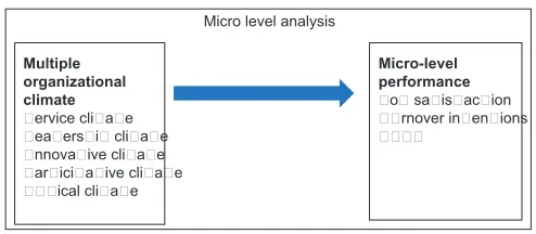 Figure 1: Model A: Multiple climates and micro level performance in public organizations