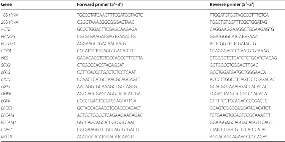Table 4 Primers used in PCR experiments