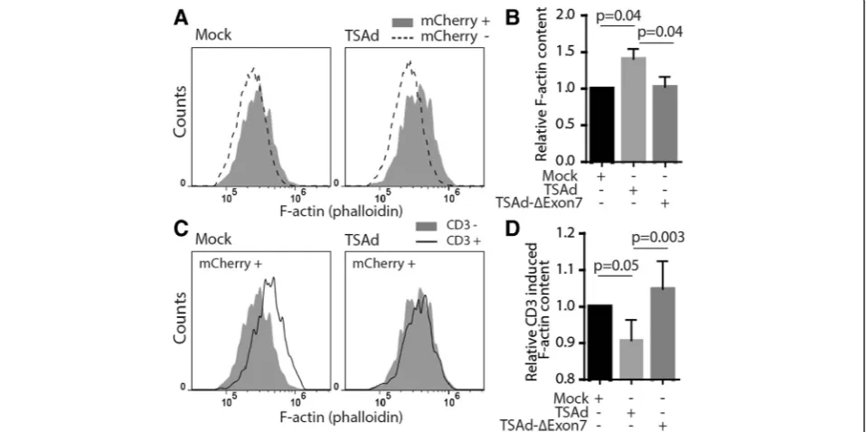 Fig. 5 TSAd affects Nck/SLP-76 interaction. Immunoblot of Nck-IP and lysates from JTAg cells with TSAd expression (siRNA Control) or JTAg cellsthe relative amounts of SLP-76 levels co-immunoprecipitated with anti-Nck antibody from (a) was performed by Imag