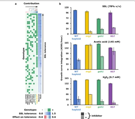 Fig. 4 Mutations in NRG1 and GSH1 are the main determinants of hydrolysate tolerance. Multiple linear regression (a) on the genotypes of segregants of an SSL‑tolerant mutant identifies mutations nrg1‑G137T and gsh1‑T(‑73)A as the strongest predictors of hi