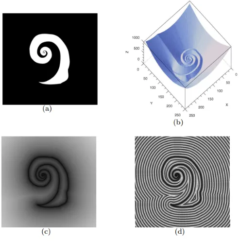 Figure 3: A spiraled shape (a), its distance transform, where the smallest distance from each point