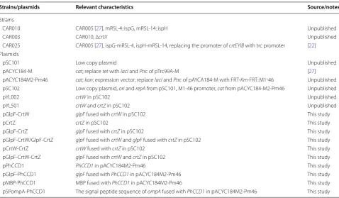 Table 1 Strains and plasmids in this study