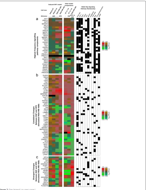 Figure 2 (See legend on next page.)