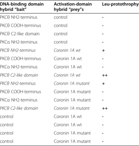Table 1 Specific interaction between PKCθ and Coronin1A in the GAL4 two-hybrid system