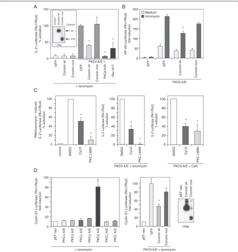 Figure 2 Coro1A modulates PKCθ-mediated effector function. (A) IL-2 promoter luciferase reporter assay performed with Jurkat T cellstransfected with the constitutively active mutant PKCθ A/E and wild-type or truncated Coro1A – as indicated