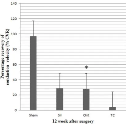 Figure 1. Percentage recovery of conduction velocity in experimental groups. Data are presented as mean ± SD