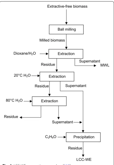 Fig. 4 LCC-WE preparation procedure [113]