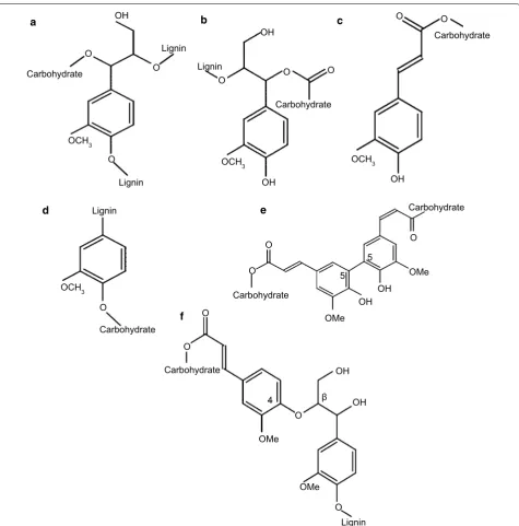 Fig. 1 Main types of LCC linkages: a benzyl ether; b benzyl ester; c ferulate ester; d phenyl glycosidic; e diferulate ester (5′–5′ linkage) f diferulate ester (4-O-β linkage) (after Ref