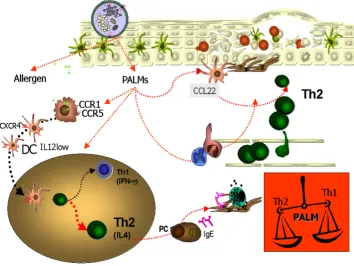 Table 2: Summary of effects of PALMs on cells of the innate and adoptive immune system