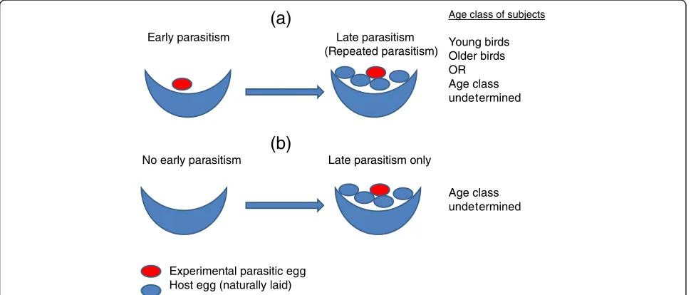 Figure 1 Schematic representation of the nest manipulation treatments applied in the study, with reference to age classification