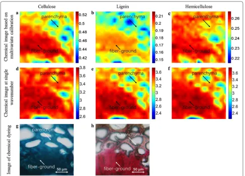 Fig. 9 Results of the three chemical imaging methods. The first row shows the chemical images based on multivariate calibration model coupled with calibration transfer (a–c), and the color legend on the right side of the figure represents the concentration