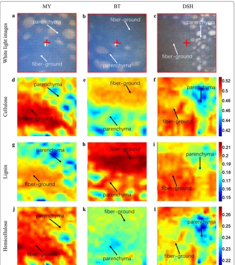 Fig. 10 Results of the chemical imaging method based on multivariate calibration model coupled with calibration transfer