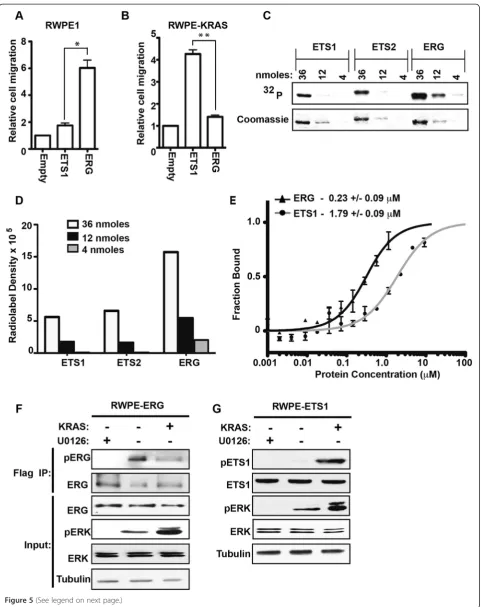 Figure 5 (See legend on next page.)