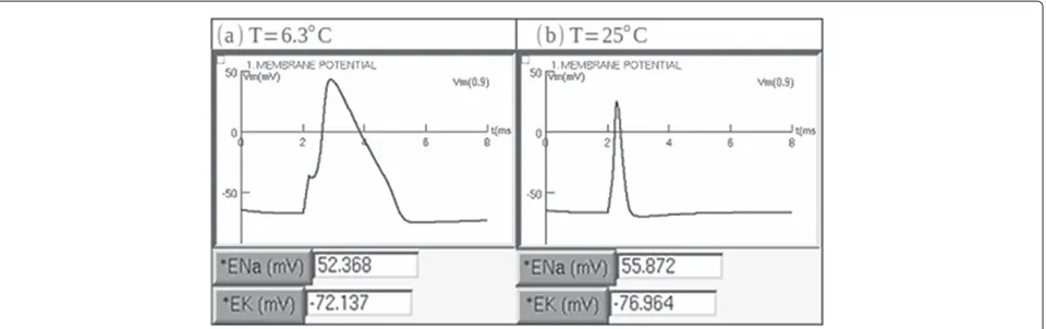 Figure 2 SENB test using two different temperatures. A) Simulation at T=6.3°C, and (B) simulation at T=25°C