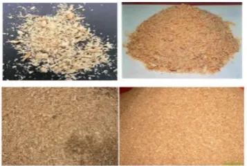 Fig. 1 Different particles of Saw Dust 
