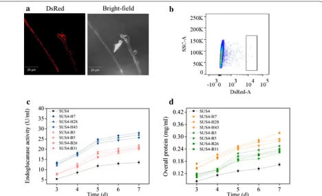 Fig. 4 Isolation of cellulase hyperproducers from T. reesei transformed with a mixture of six plasmids by FACS directed by surface-displayed DsRed