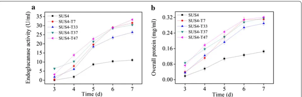 Fig. 6 Isolation of cellulase hyperproducers from a T. reesei mutant library created by Agrobacterium-mediated random insertion of the pyr4 gene in the chromosome