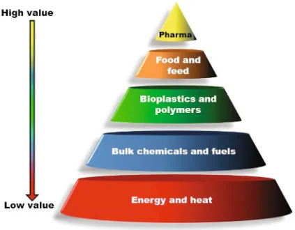 Fig. 1. The value pyramid of biomass conversion: At the bottom, with lowest value, is the bulk use of biomass for combustion, making heat and ������������������������������������������������������������������������������������������������������������������