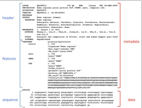 Fig. 5 Selected parts of the GenBank entry DQ408531. The complete entry can be found at http://www.ncbi.nlm.nih.gov/nuccore/DQ408531