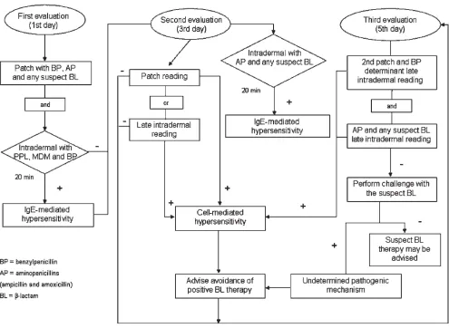 Figure 1. Algorithm for in vivo allergologic evaluation of non-immediate reactions to b-lactams