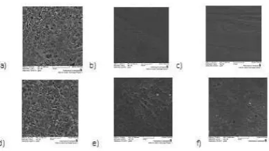 Figure 4. Evaluation of enamel surfacewith scanning electron microscopy (SEM)at ×2000 magniﬁcation