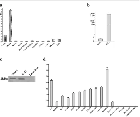 Fig. 6 Expression profiling of LrNanog gene. a Relative expression profiling of Nanog in different tissues of L