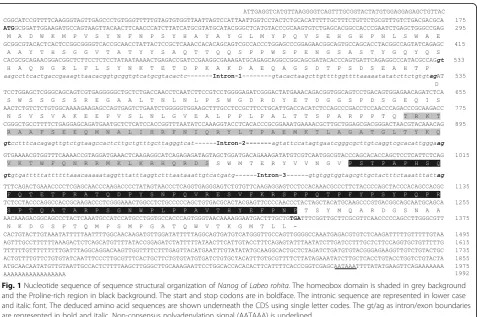 Fig. 1 Nucleotide sequence of sequence structural organization ofand the Proline-rich region in black background