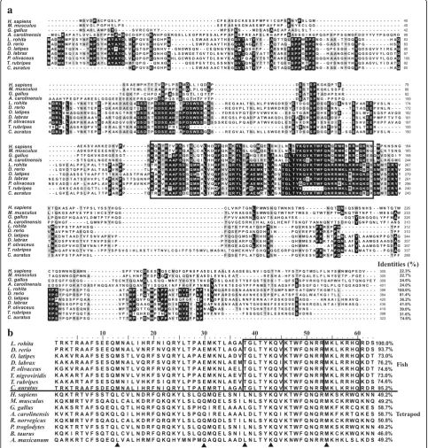 Fig. 2 Multiple alignment of the LrNanog protein. a Multiple alignment of full-length LrNanog deduced amino acid sequences with other speciescounterparts