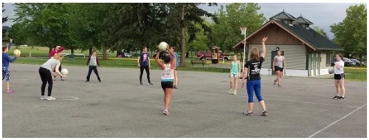 Figure 1: The Netball Court and Playing Positions 