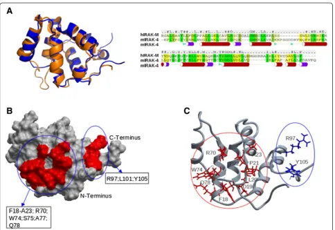 Figure 1 3D structure model of the human IRAK-M death domain (DD). (A) Model of the DD of human IRAK-M (Blue) superimposed on thetemplate DD structure 2A9I (Orange) of mIRAK-4 and sequence alignment of hIRAK-M-DD and mIRAK-4-DD