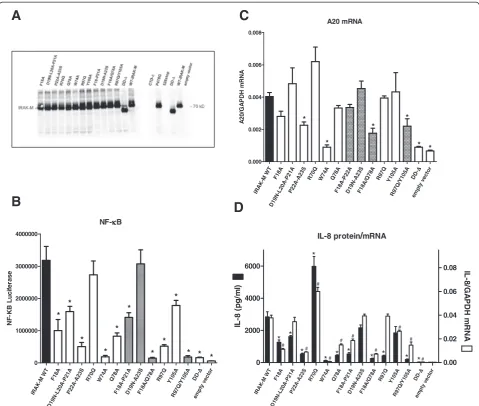 Figure 2 Expression and functional analysis of human IRAK-M-DD mutants in 293T cells. (A)by transfection in 293T cells by Western blotting performed on cell lysates with an antibody directed to the C-terminal of IRAK-M