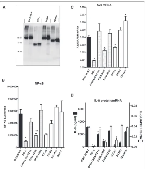 Figure 3 Expression and functional analysis of IRAK-M C-terminal domain mutants in 293T cells