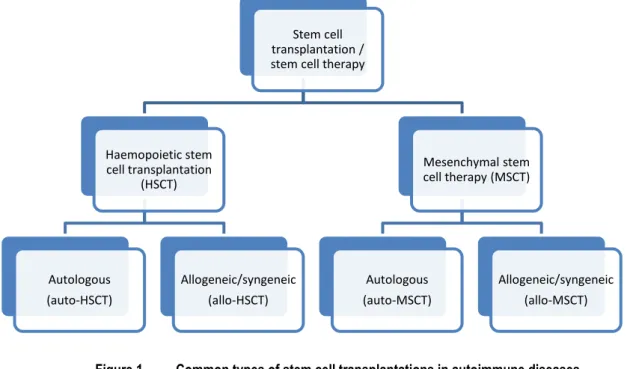 Figure 1  Common types of stem cell transplantations in autoimmune diseases 