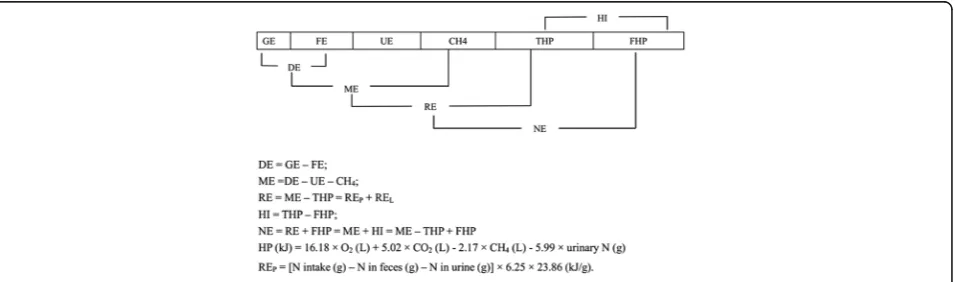 Fig. 1 Scheme of energy utilization in pigs. The utilization of energy in a feed by pigs is a multi-level system