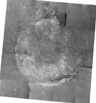 Fig. 4 – The digital photoplan (scale 1:10).