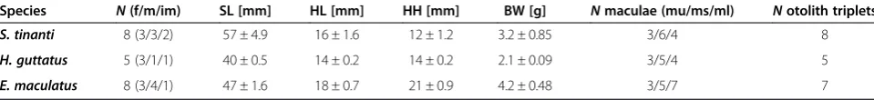 Table 1 Overview of samples sizes (N) of the three cichlid species and mean values (±s.e.m.) of standard length (SL),head length (HL), head height (HH), body weight (BW), numbers of maculae and otolith triplets analyzed