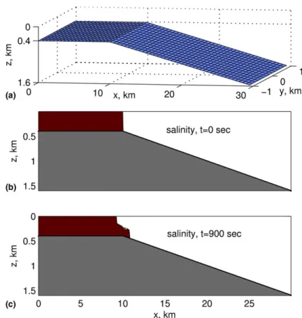 Fig. 3. Computational domain and initial conditions in HYCOM experiments. (a) Domain geometry in 3D, (b) the initial salinity distribution (x–z plane), and (c) salinity distribution t = 15 min.