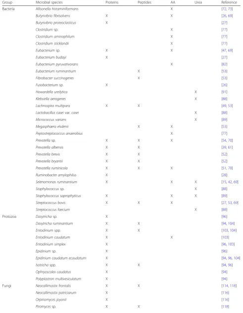 Table 1 Overview of microorganisms involved in the ruminal degradation of proteins, peptides, AA and ureaa