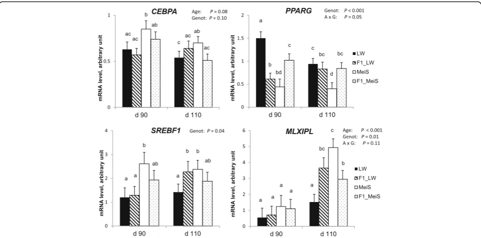 Fig. 5 Expression levels of transcriptional regulators in subcutaneous adipose tissue of purebred and crossbred Large White or Meishan fetusesgestated by sows of either breed