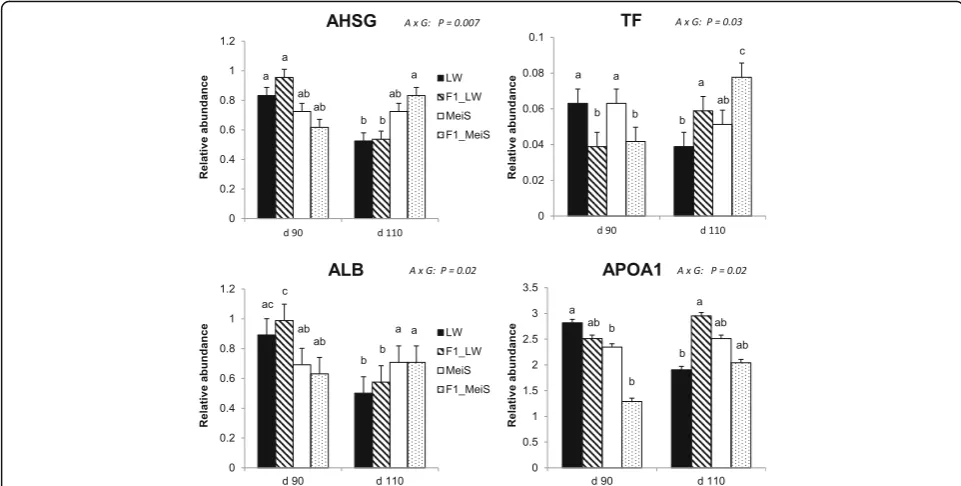 Fig. 3 Differences in abundance of secreted adipose proteins in purebred and crossbred Large White or Meishan fetuses gestated by sows ofeither breed at d 90 or d 110 of gestation